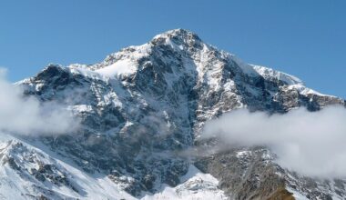 Jornal de Notícias Logo