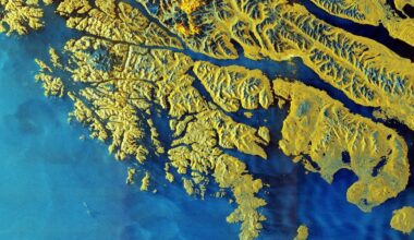 Satélite europeu Sentinel-1D já começou a observar a Terra e as primeiras imagens são impressionantes