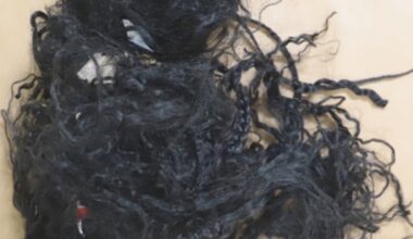 Jornal de Notícias Logo