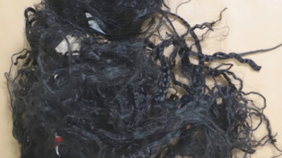 Jornal de Notícias Logo