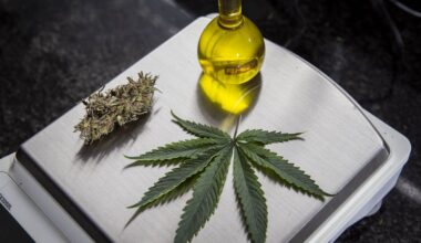 Estudo investiga o potencial de microdoses de cannabis no tratamento de Alzheimer em idosos