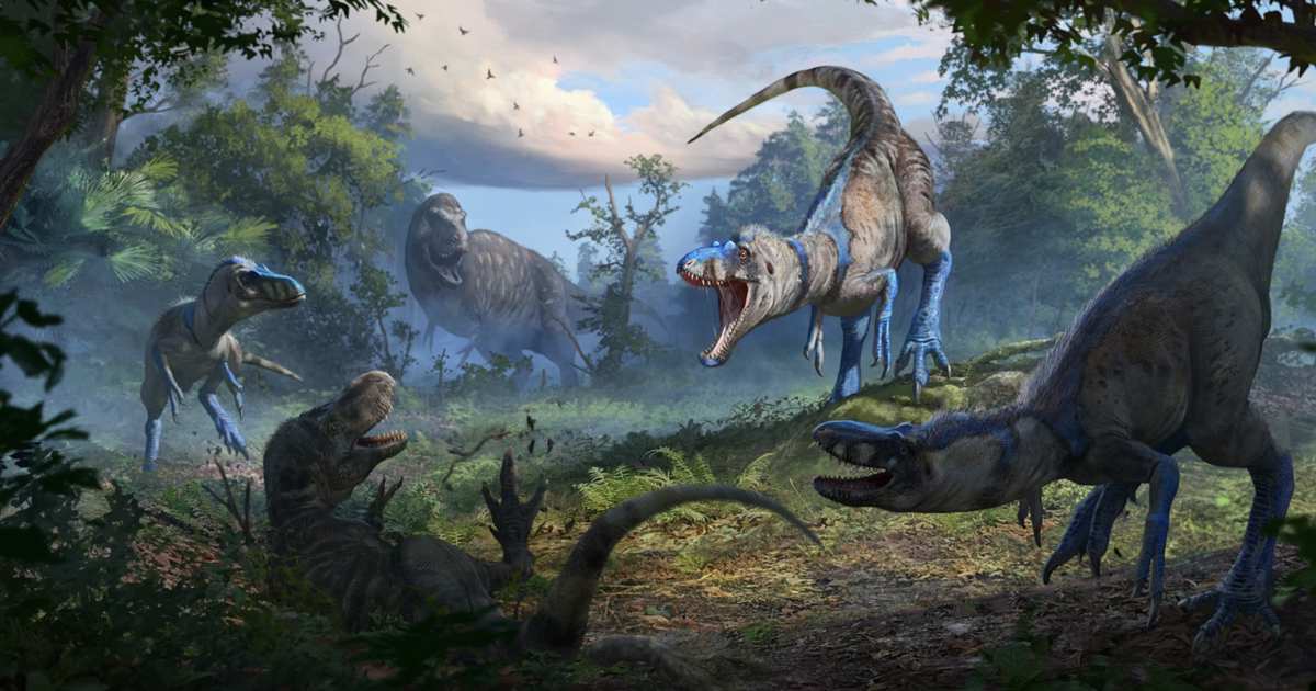 O debate sobre o Nanotyrannus ganha um novo rumo