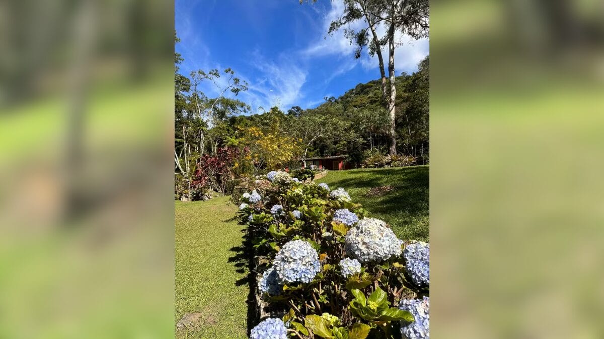 casa de marcello novaes jaques dona de mim