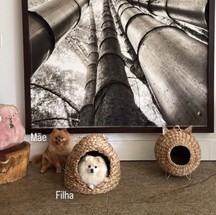 Detalhes da entrada da casa — Foto: reprodução