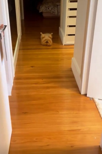 Detalhes do closet — Foto: reprodução