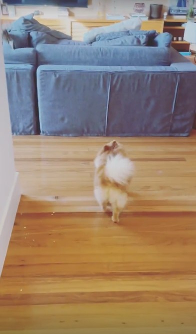 A sala de televisão com sofás amplos— Foto: reprodução