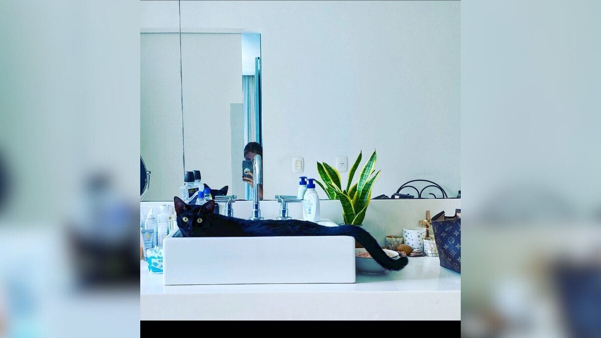 casa grazi massafera arminda tres gracas 