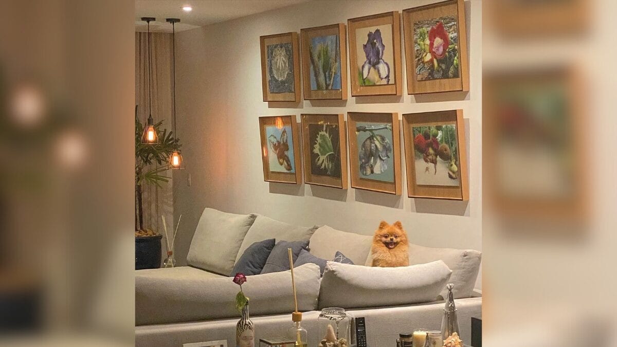 casa grazi massafera arminda tres gracas 