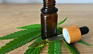 Estudo investigou os efeitos de microdoses de extrato de cannabis em pacientes com Alzheimer leve