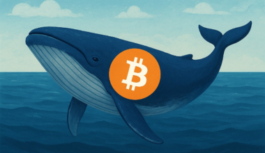 'Baleia cripto' adormecida desde 2011 vende US$ 1,3 bilhão em bitcoin | Criptomoedas