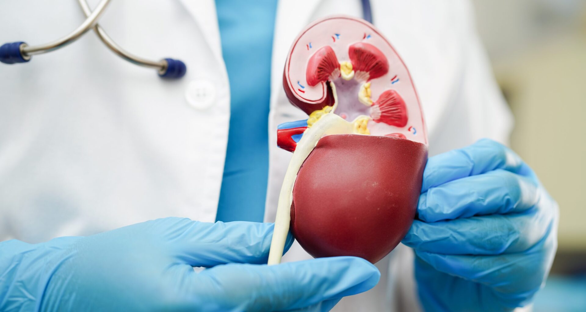 Jornal da Franca - Entenda quais são os sinais de alerta para doença renal e se previna