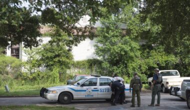 Empregada de limpeza enganou-se na casa