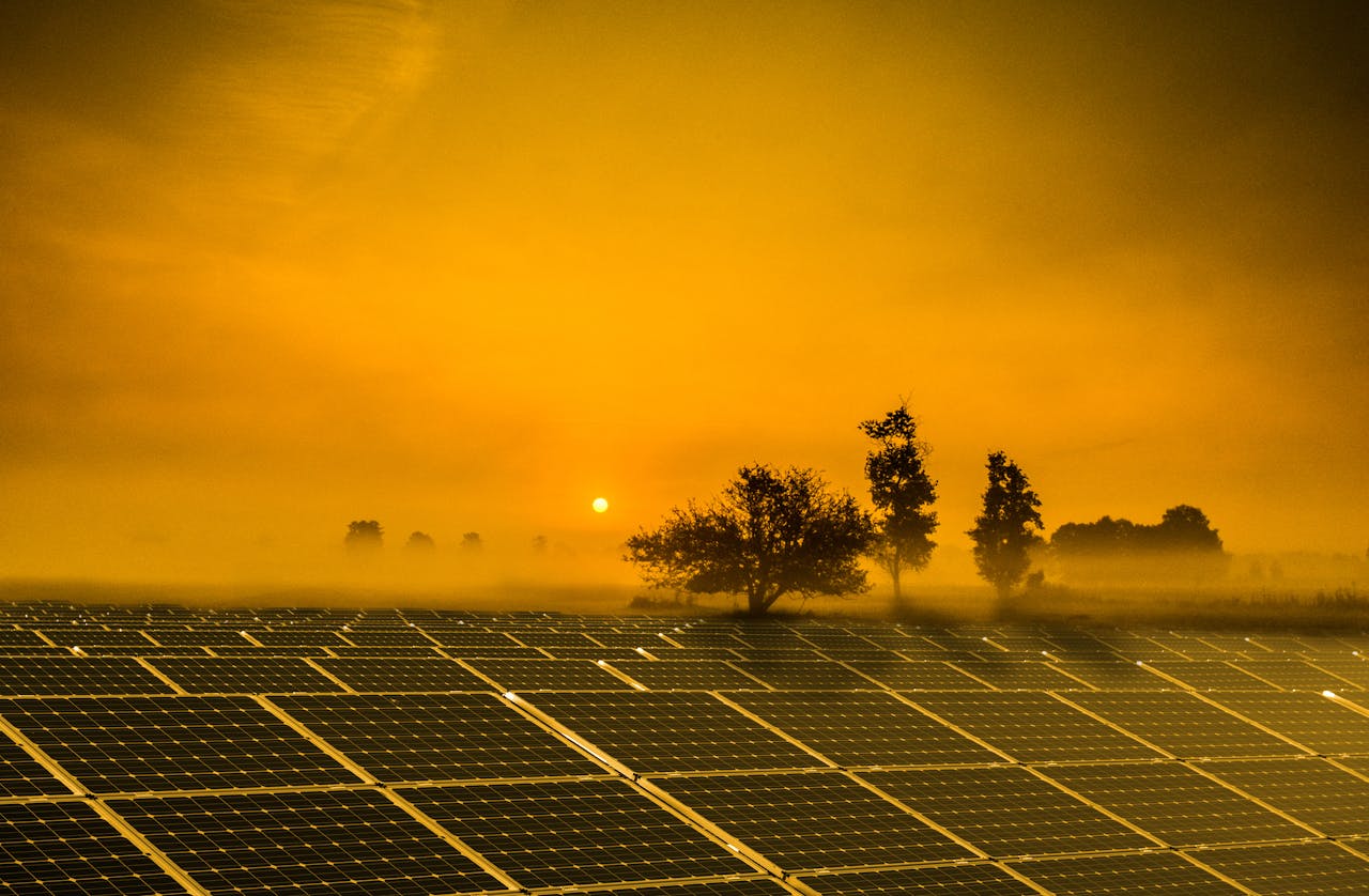 A Austrália tem agora tanta energia solar que está a oferecer eletricidade gratuitamente