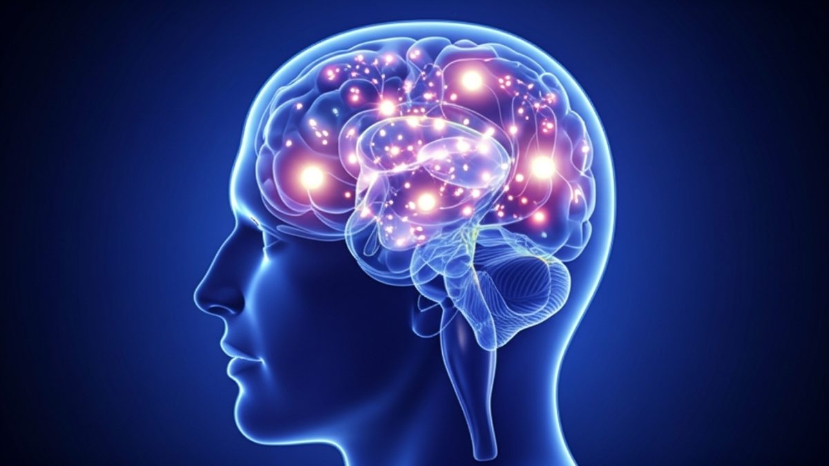 a ciência por trás do fenómeno do déjà vu