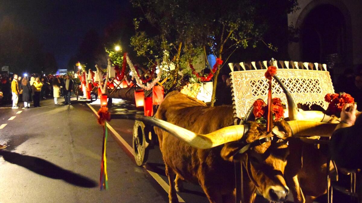 Jornal de Notícias Logo