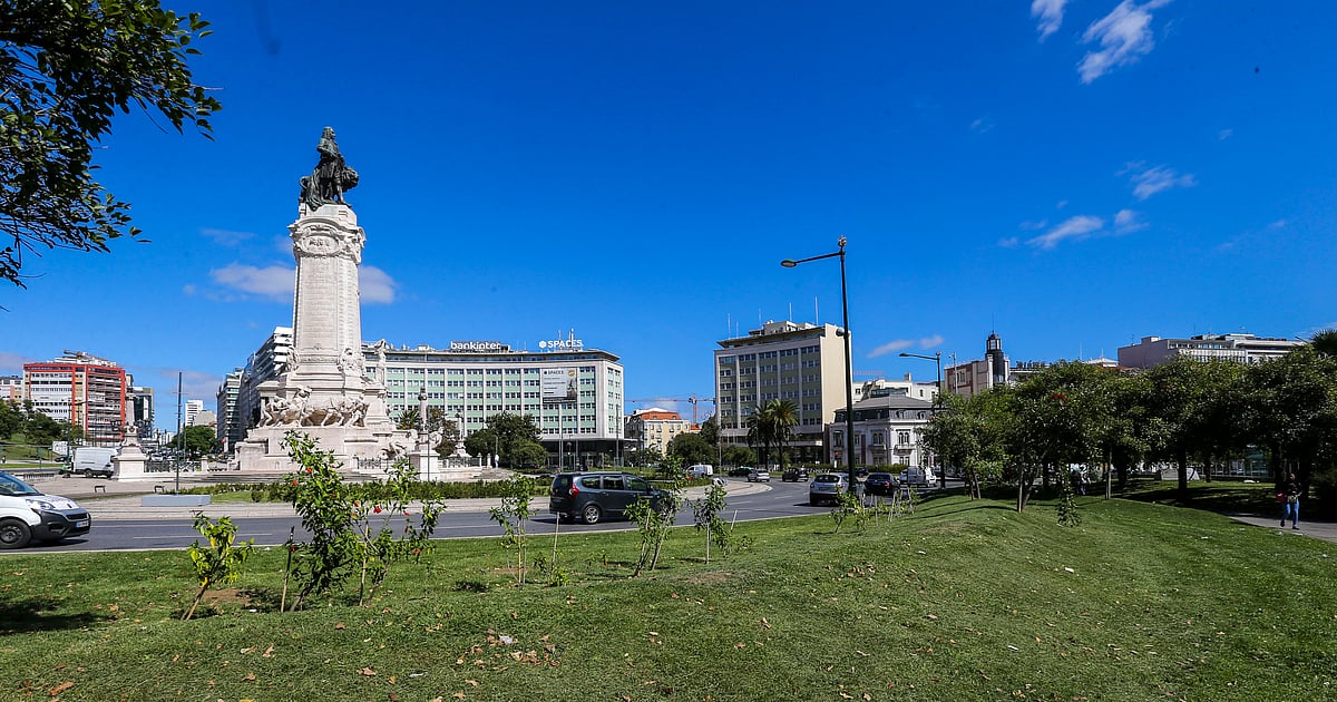 CEO da Media Options assaltado com arma de fogo em Lisboa - Diário de Notícias