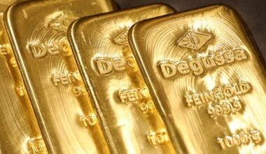 Francês encontra 700 mil euros em barras de ouro e moedas no próprio jardim enquanto construía uma piscina