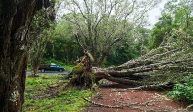 Encontrado homem que ligou a pedir ajuda depois de carro ter sido abalroado por aluimento de terras