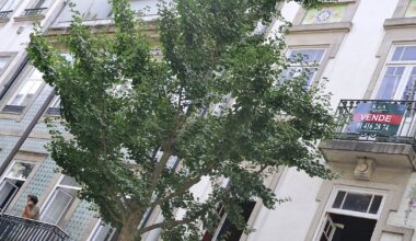 Preço das Casas 154 Mil Euros Acima da Procura