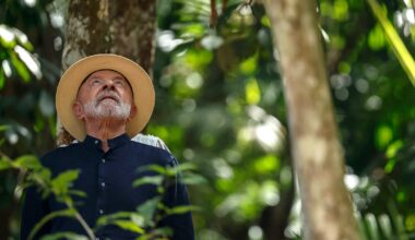 Belém do Pará. Novos espaços e velhos problemas na COP da teimosia de Lula - Diário de Notícias