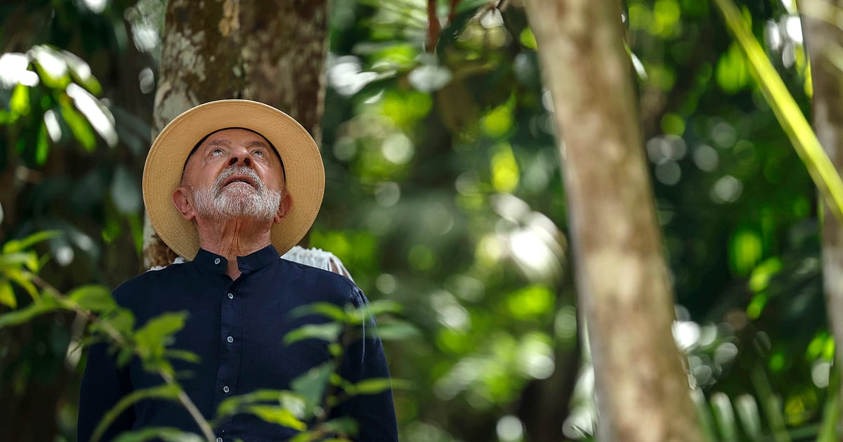 Belém do Pará. Novos espaços e velhos problemas na COP da teimosia de Lula - Diário de Notícias