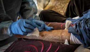 Mais de 80 Mil Novos Casos em 2024