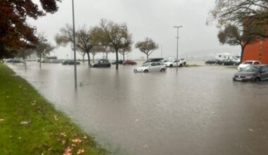 Jornal de Notícias Logo