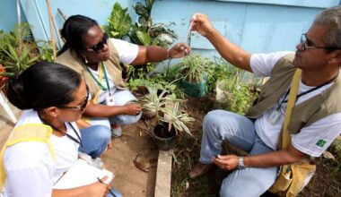 Dia D nacional contra a dengue, zika e chikungunya ocorre neste sábado (8) — Agência Gov