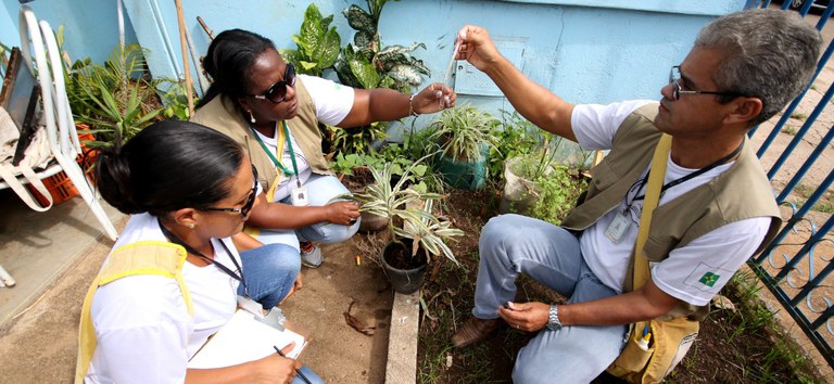 Dia D nacional contra a dengue, zika e chikungunya ocorre neste sábado (8) — Agência Gov