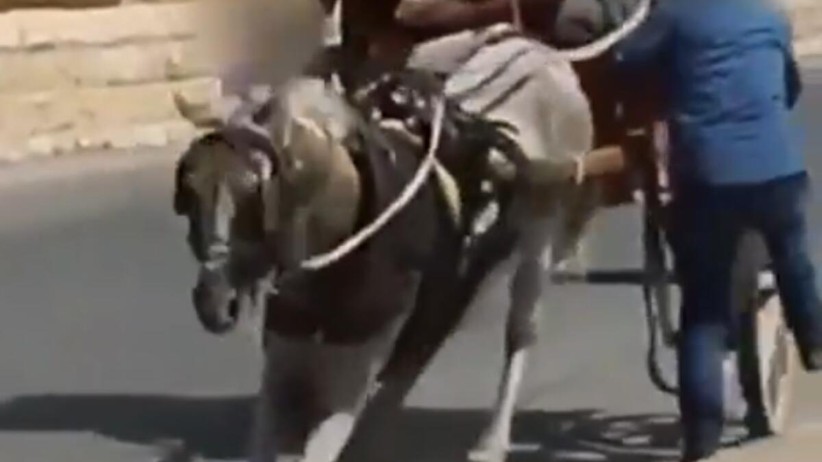 Jornal de Notícias Logo