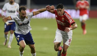 Um menino a aparecer e um peso a desaparecer (as notas do Benfica)