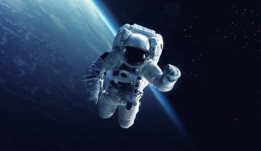 Musgo sobrevive nove meses no espaço e reproduz-se na Terra