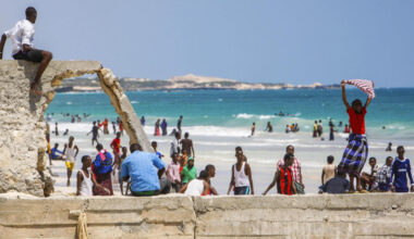 Jornal de Notícias Logo