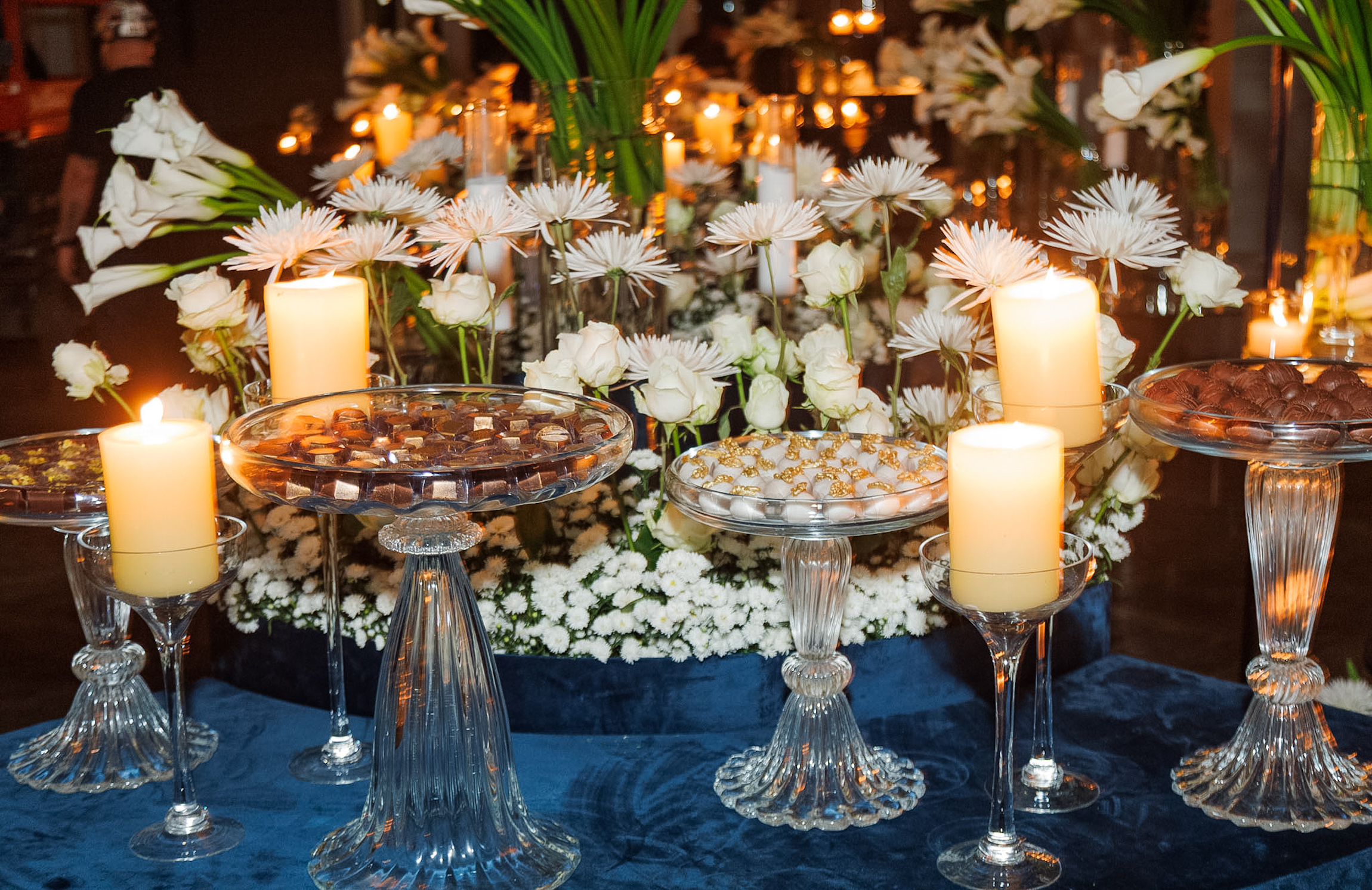 Festa de Cela Lopes - Foto: Clayton Felizardo / Brazilnews