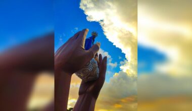 Prefeitura divulga os 20 finalistas do concurso "Cascavel em Foto"