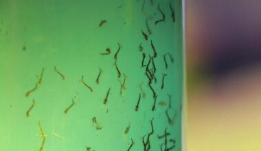 Prefeitura Municipal de Ribeirão Preto