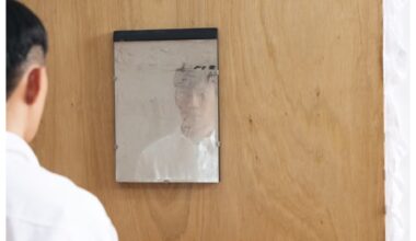 Voluntário de museu danifica obra de arte após tentar limpar espelho - G1