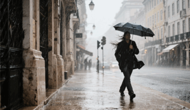 Tempestade invernal aproxima-se: frio, chuva e vento vão marcar estes dias e algumas regiões serão mais 'castigadas'