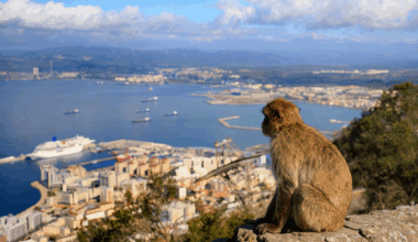 Adeus Estreito de Gibraltar? Novo estudo sugere que Europa e África poderão voltar a unir-se e estas são as razões