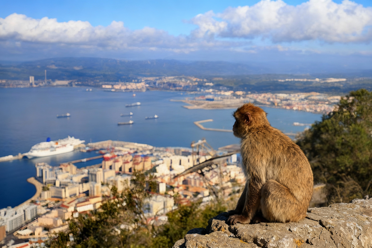 Adeus Estreito de Gibraltar? Novo estudo sugere que Europa e África poderão voltar a unir-se e estas são as razões