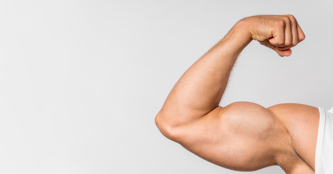 7 segredos de especialistas para ganhar músculos rápido