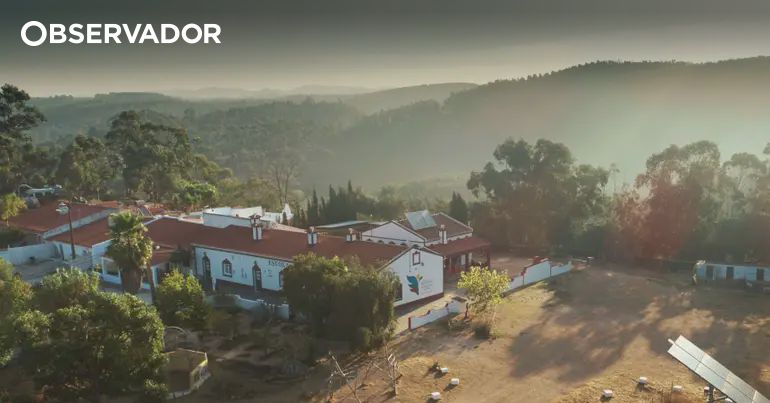 Aljezur. Escola fechada pelo Ministério pode reabrir – Observador