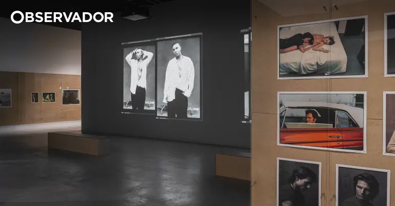 Na Corunha, Annie Leibovitz guiou-nos no mundo de maravilhas – Observador