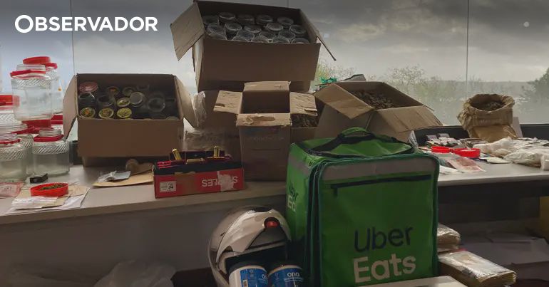 Os narcoinformáticos que escondiam droga em chocolates – Observador