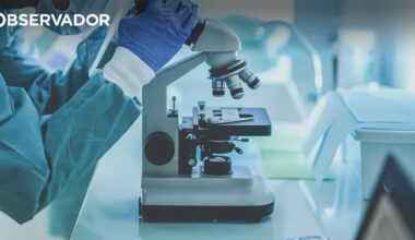 Mais de 6 milhões atribuídos a 9 investigações biomédicas – Observador