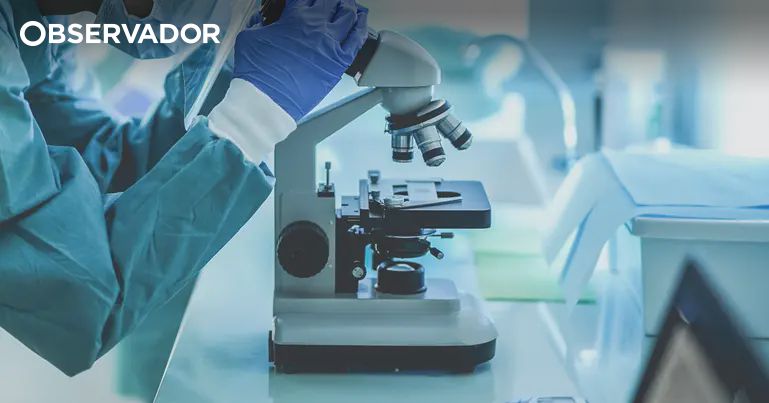 Mais de 6 milhões atribuídos a 9 investigações biomédicas – Observador