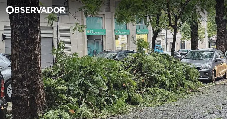 Proteção civil registou 784 ocorrências até às 12h00 – Observador