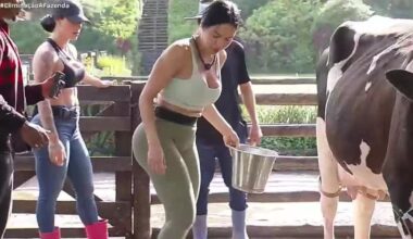 Rayane divide trato com Támires e alfineta Dudu: 'Quiseram fazer rivalidade'