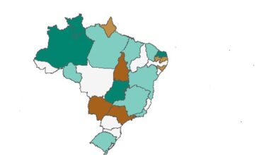 InfoGripe: casos de influenza A aumentam no Sudeste e avançam para a Bahia