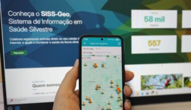 Inteligência georreferenciada mantém Paraná livre de casos locais de febre amarela